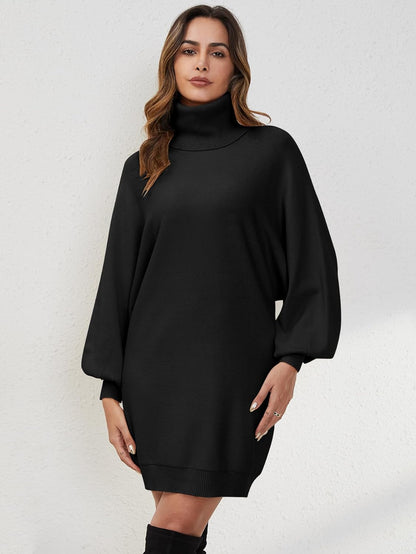 Women Turtleneck Casual Long Batwing Lantern Sleeve